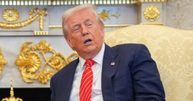 NIEGAN A TRUMP APOYO PARA ORMUZ