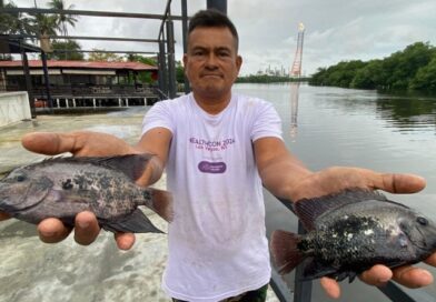 ARRASTRA DOS BOCAS FALLAS CON DRENAJE