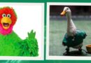 ABELARDO DE PLAZA SÉSAMO BUSCA A SU PRIMO EL PATO MERLÍN EN SINOALOA TRAS ROBO DE ZAPATITOS