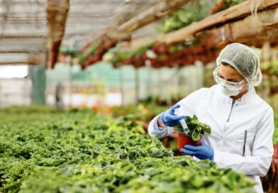 ACUSA EU TRABAS EN AGROTECNOLOGÍA
