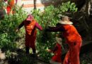 «DÍA DEL PUEBLO»: CHEDRAUI ATIENDE PETICIÓN EN ROMERO VARGAS