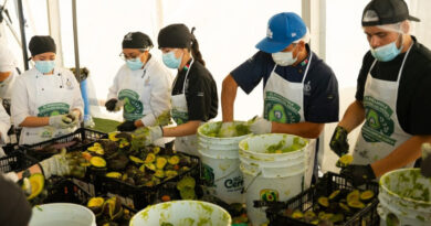 LOGRA JALISCO GUINNESS CON EL GUACAMOLE MÁS GRANDE DEL MUNDO