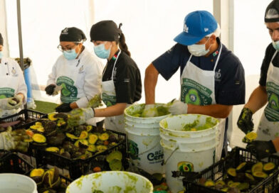 LOGRA JALISCO GUINNESS CON EL GUACAMOLE MÁS GRANDE DEL MUNDO
