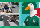 PATO MERLÍN: EL AMULETO VIRAL DE LA SELECCIÓN EN EL MUNDIAL