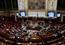 BRUSELAS CELEBRA EL VETO DE FRANCIA A REDES SOCIALES PARA MENORES
