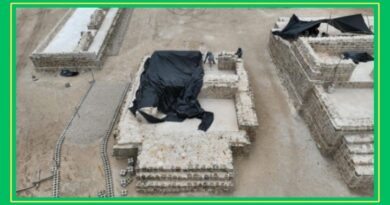 DENUNCIAN PENALMENTE LA DESTRUCCIÓN DE 47 MONUMENTOS MAYAS EN CHETUMAL Y EXIGEN CASTIGO