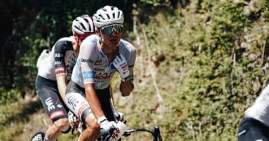 ETAPA 18 DEL TOUR: RESERVA DEL TORO SUFRE EMBESTIDAS