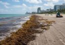 FLORIDA APUNTA HACIA UN NUEVO RÉCORD
