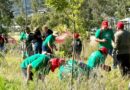 INICIA PROYECTO ‘RAÍCES DEL FUTURO’ EN EL CERRO DE AMALUCAN