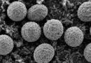 LA FDA SE RETRACTA SOBRE CYCLOSPORA EN LECHUGA; INVESTIGACIÓN CONTINÚA