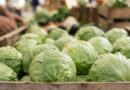 LA LECHUGA DE MÉXICO SEÑALADA POR BROTE DE DIARREA EN EU