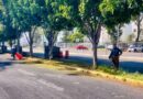 PUEBLA FORTALECE SU IMAGEN URBANA CON CAMELLONES RENOVADOS