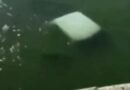 CUATRO MARINOS PIERDEN LA VIDA AL CAER CAMIONETA AL RÍO EN TAMAULIPAS