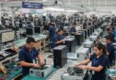 EL SECTOR DE CÓMPUTO GENERA POCO EMPLEO