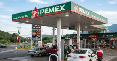 EN MÉXICO CIERRAN CADA VEZ MÁS GASOLINERAS