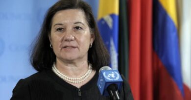 LA UE RETIRA VISA A LA EMBAJADORA DE BRASIL