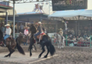 LOS CABALLOS BAILADORES ARRASAN EN TODAS PARTES