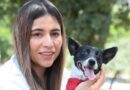 MALTRATO ANIMAL GENERA CRECIENTE INDIGNACIÓN EN LA POBLACIÓN
