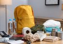 PREVENCIÓN ANTE SISMOS: TU MOCHILA Y KIT PET-FRIENDLY