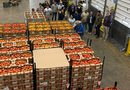 ALIANZA EN MCALLEN: 3.1 MDD PARA EL SECTOR AGROALIMENTARIO DE GUANAJUATO