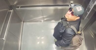 ASESINATO DE MÚSICO Y SU FAMILIA FUE PLANEADO, REVELAN INVESTIGADORES