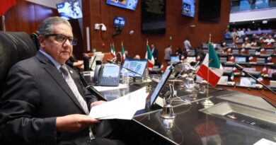 EL SENADO SE DESLINDA DE ATAQUES A LA PRENSA Y CONVOCA A LA MESURA