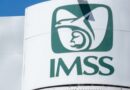 INDAGAN MUERTE DE CINCO BEBÉS EN IMSS DE DURANGO