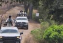 OPERATIVOS EN GUERRERO LOGRAN DETENCIÓN DE 66 FALSOS POLICÍAS