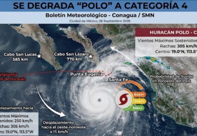 ‘POLO’ YA ES CATEGORÍA 4
