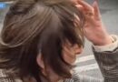 LOS ASESORES DE NAHLE Y LA CARABINA DE AMBROSIO