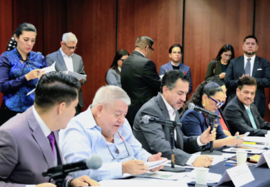 AVANZA ANÁLISIS PRESUPUESTAL EN EL SENADO