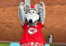 LANZA NFL PLAY 60  PROGRAMA DE ACTIVACIÓN FÍSICA