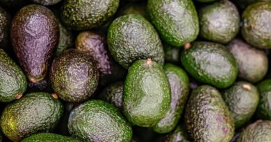 PROHÍBE GOBIERNO INTERMEDIARIOS EN AGUACATE