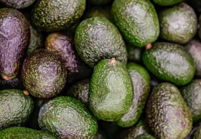 PROHÍBE GOBIERNO INTERMEDIARIOS EN AGUACATE