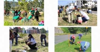 REFORESTAN 91 HECTÁREAS EN PUEBLA