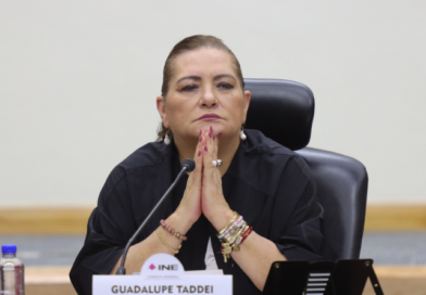 RENUNCIA TADDEI AL INE