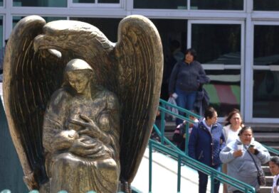 TIENE MÚLTIPLES CARENCIAS… Y SUBEJERCE 38% RECURSOS
